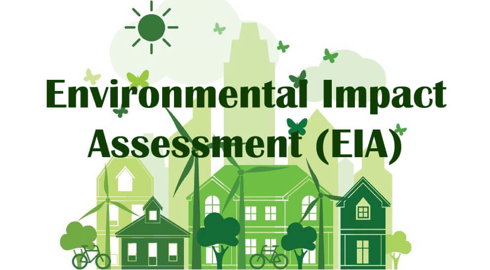 Environmental Impact Assessement