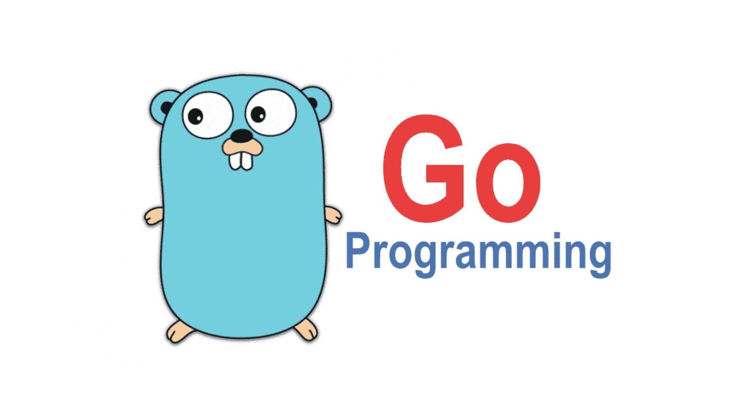 Go Programming Lab